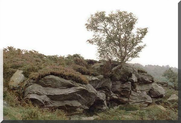 Northumberland 1