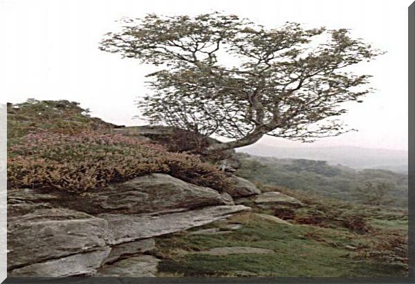 Northumberland 2