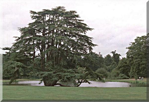 Leeds Castle 2